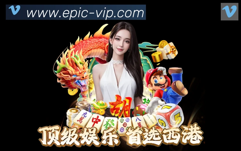互动解说服务